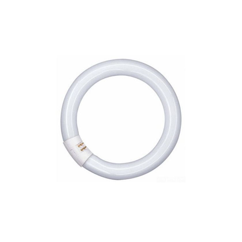 Osram circular fluorescent tubes outlet