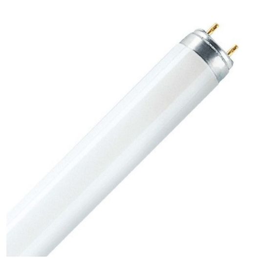 Osram_T8.jpg