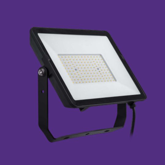 Philips_Ecolink_Floodlight.jpg